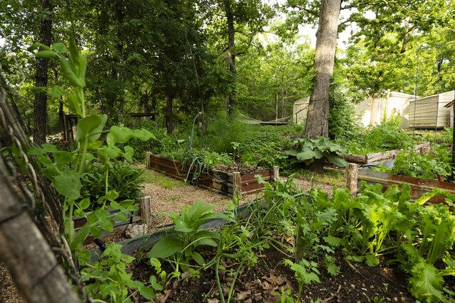 651/TBD Round Robin Ln, Yellville, AR 72687 - view of yard with a garden
