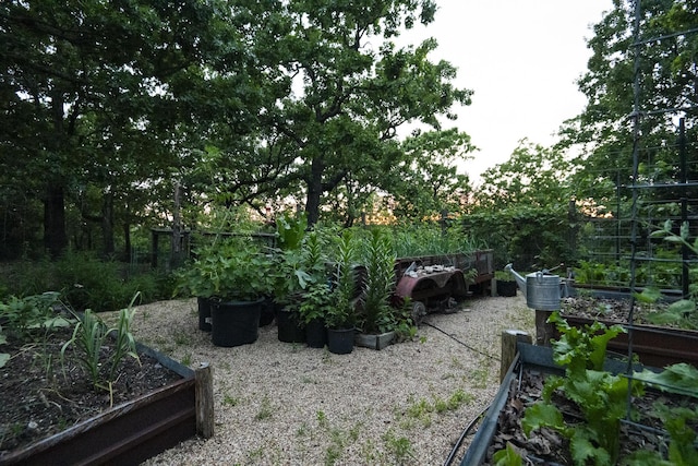 651/TBD Round Robin Ln, Yellville, AR 72687 - view of yard featuring a vegetable garden