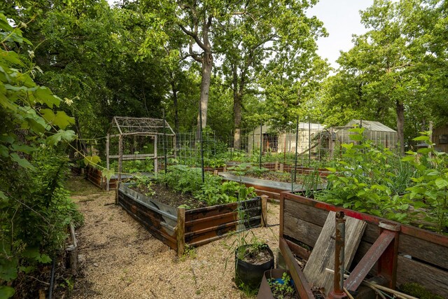 651/TBD Round Robin Ln, Yellville, AR 72687 - view of yard featuring a vegetable garden