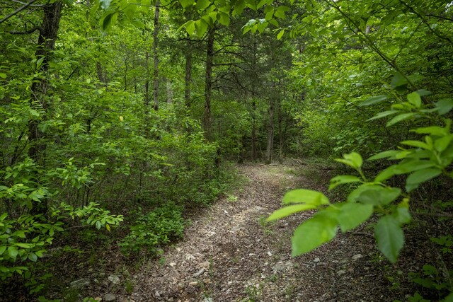 651/TBD Round Robin Ln, Yellville, AR 72687 - view of wooded area