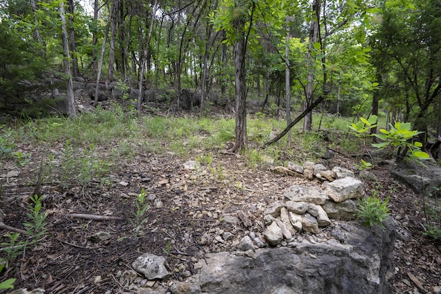 651/TBD Round Robin Ln, Yellville, AR 72687 - view of woods