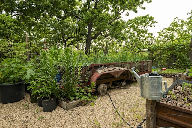 651/TBD Round Robin Ln, Yellville, AR 72687 - view of yard
