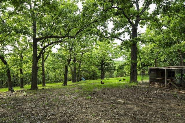 651/TBD Round Robin Ln, Yellville, AR 72687 - view of yard