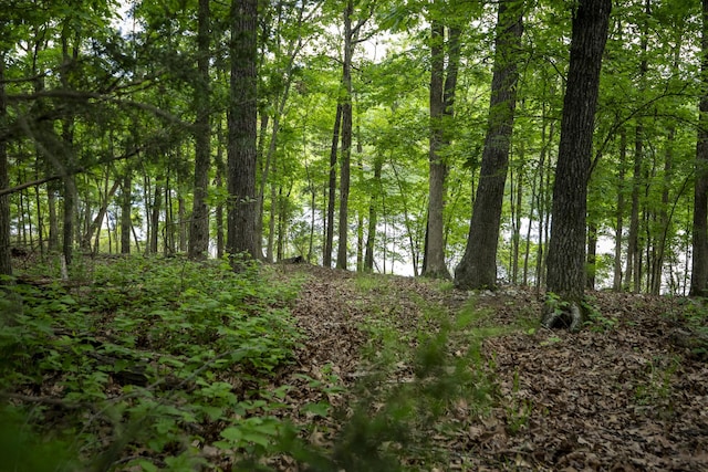 651/TBD Round Robin Ln, Yellville, AR 72687 - view of tree filled area