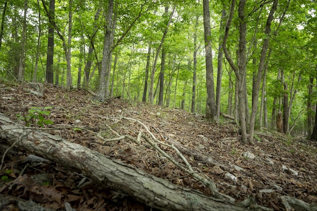 651/TBD Round Robin Ln, Yellville, AR 72687 - view of tree filled area