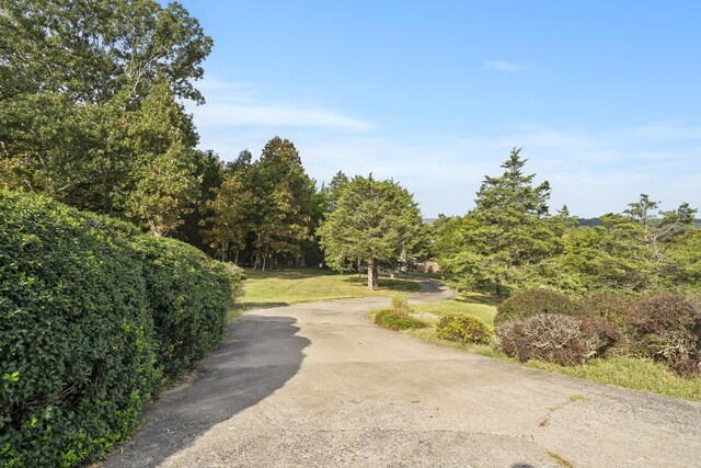 807 S Stanford Dr, Rogersville, MO 65742 - surrounding community with a yard