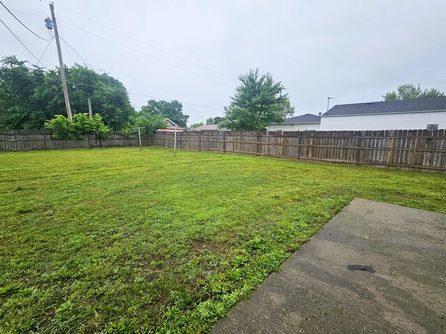 107 W Poplar St, El Dorado Springs, MO 64744 - view of yard