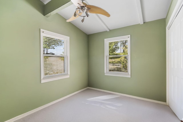 638 Double Day, Branson West, MO 65737 - unfurnished bedroom with multiple windows, carpet floors, a closet, and baseboards