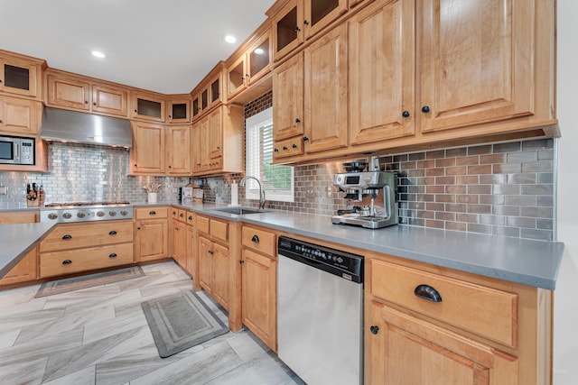 108 Island Green Dr, Republic, MO 65738 - kitchen featuring appliances with stainless steel finishes, under cabinet range hood, a sink, tasteful backsplash, and light countertops