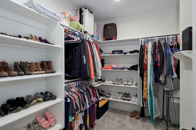 498 Mockingbird, Rogersville, MO 65742 - spacious closet with carpet floors
