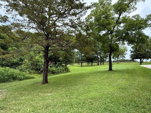 3461 S 90th Rd, Flemington, MO 65650 - photo 31