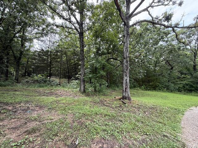 3461 S 90th Rd, Flemington, MO 65650 - photo 30