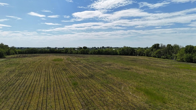 view of yard with a rural view