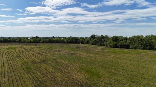 view of grassy yard featuring a view of rural / pastoral area