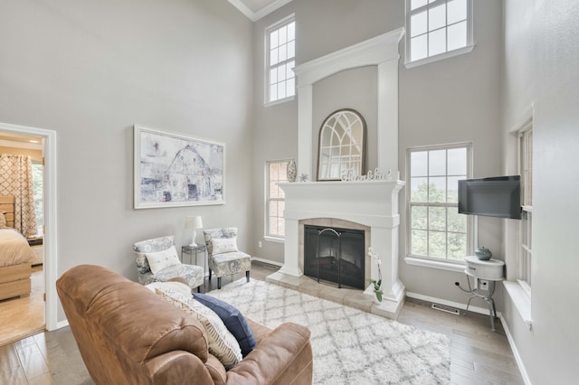 287 Appletree Dr, Ozark, MO 65721 - living room with a high ceiling, baseboards, a fireplace with raised hearth, wood finished floors, and ornamental molding