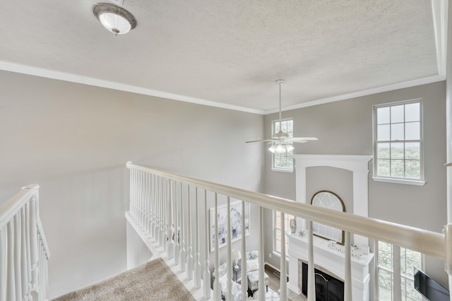 287 Appletree Dr, Ozark, MO 65721 - hall with crown molding, a textured ceiling, and an upstairs landing