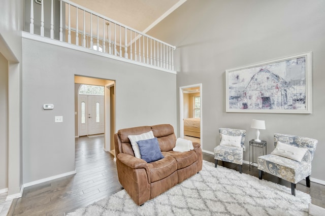 287 Appletree Dr, Ozark, MO 65721 - living area with wood finished floors, baseboards, and a towering ceiling