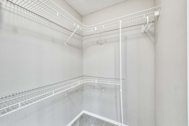 287 Appletree Dr, Ozark, MO 65721 - view of spacious closet
