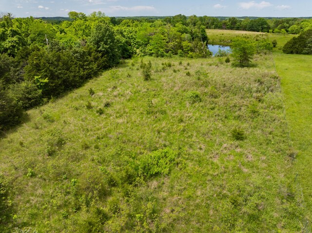 623 State Road K, Long Lane, MO 65590 - photo 31