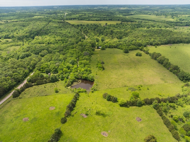623 State Road K, Long Lane, MO 65590 - photo 35