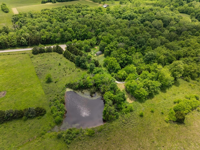 623 State Road K, Long Lane, MO 65590 - photo 30