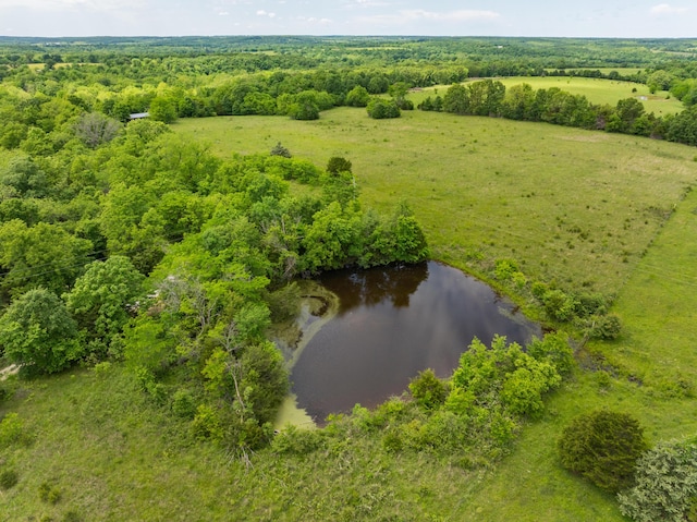 623 State Road K, Long Lane, MO 65590 - photo 29