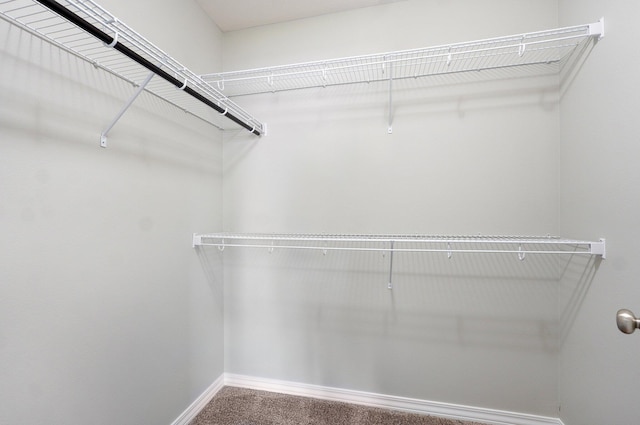 511 Mark St, Billings, MO 65610 - spacious closet featuring carpet floors