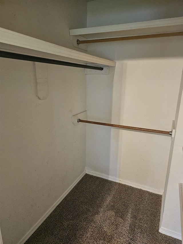 3807 S Leawood Ave, Springfield, MO 65807 - spacious closet with carpet