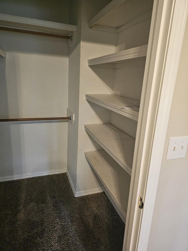 3807 S Leawood Ave, Springfield, MO 65807 - spacious closet featuring carpet