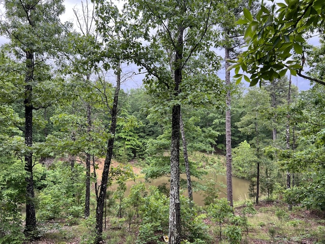 15768 Sargent Rd, Willow Springs, MO 65793