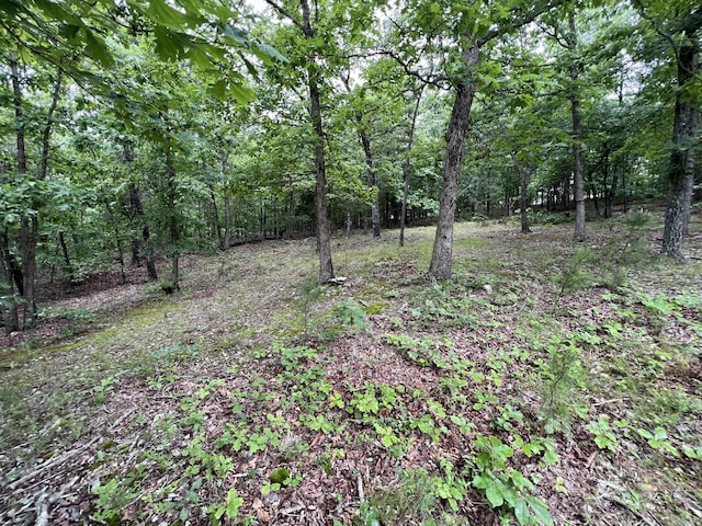 15768 Sargent Rd, Willow Springs, MO 65793