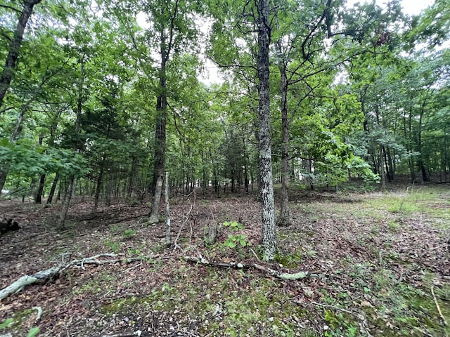 15768 Sargent Rd, Willow Springs, MO 65793