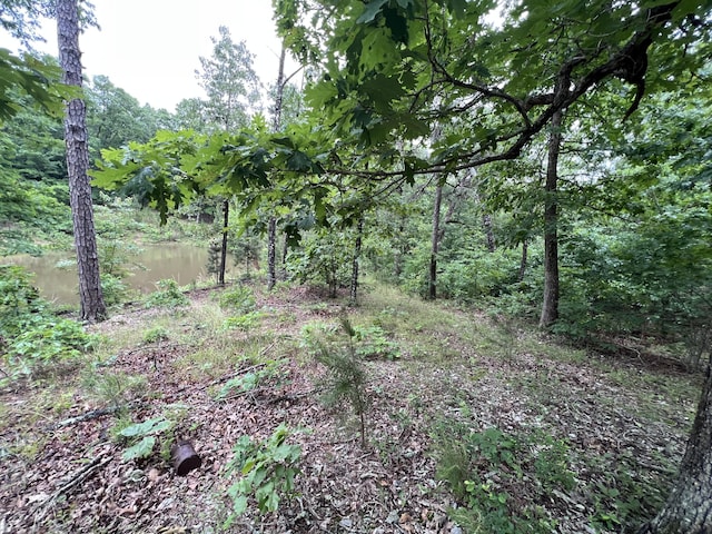 15768 Sargent Rd, Willow Springs, MO 65793