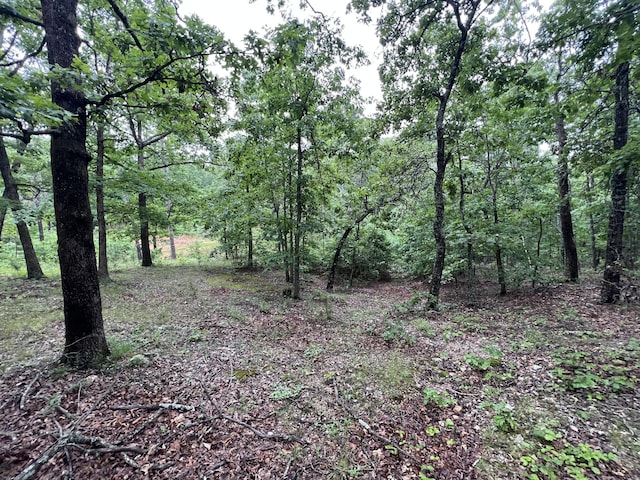 15768 Sargent Rd, Willow Springs, MO 65793