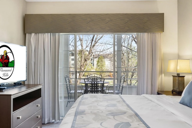 2800 Green Mountain Dr Unit 230, Branson, MO 65616 - bedroom featuring multiple windows