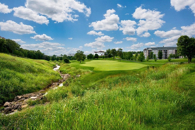 2800 Green Mountain Dr Unit 230, Branson, MO 65616 - surrounding community with view of golf course