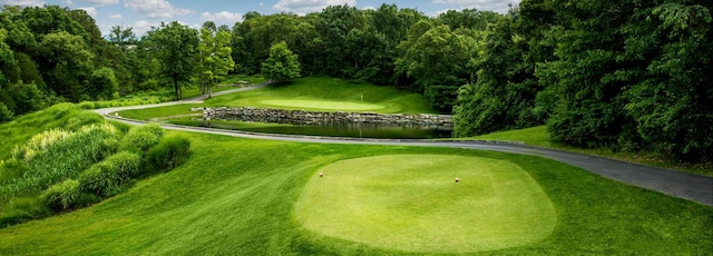 2800 Green Mountain Dr Unit 230, Branson, MO 65616 - view of community featuring golf course view, a water view, and a lawn