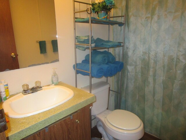 9065 County Road 3940, Mountain View, MO 65548 - bathroom with vanity, toilet, and curtained shower