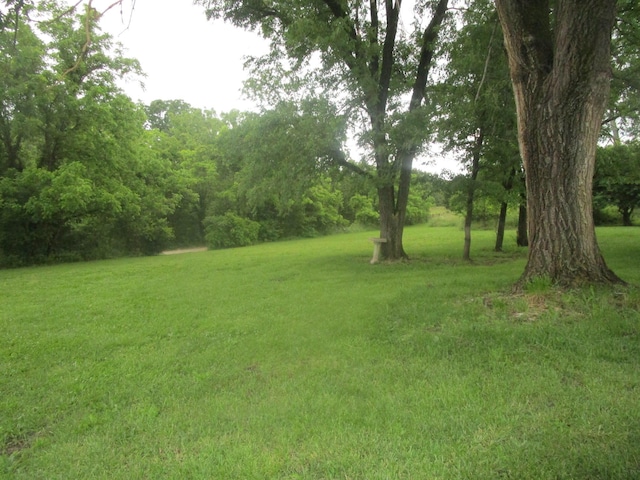 9065 County Road 3940, Mountain View, MO 65548 - view of green lawn