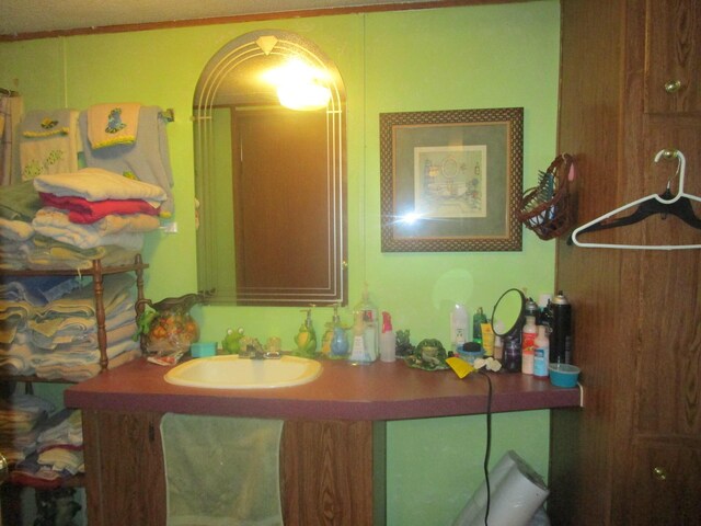 9065 County Road 3940, Mountain View, MO 65548 - bathroom featuring a sink