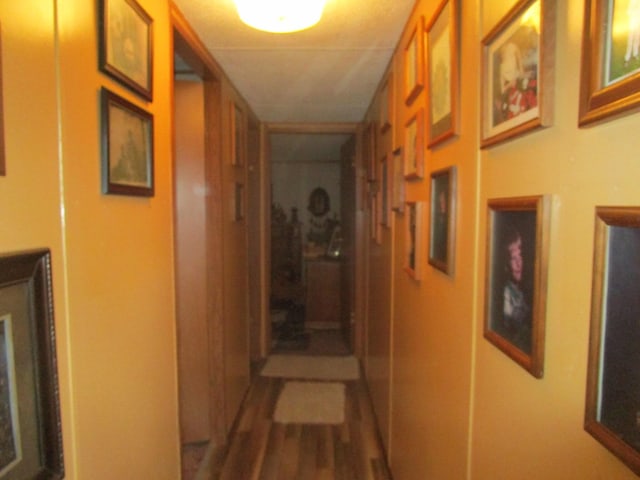 9065 County Road 3940, Mountain View, MO 65548 - hall featuring wood finished floors