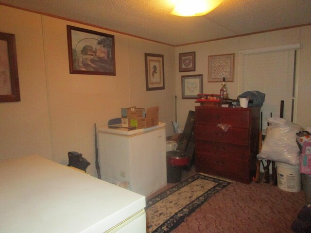 9065 County Road 3940, Mountain View, MO 65548 - view of carpeted bedroom