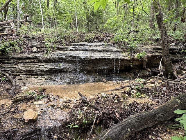 11513 Co Rd Unit 76-203, Ava, MO 65608 - view of nature