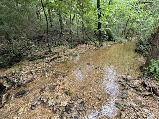 11513 Co Rd Unit 76-203, Ava, MO 65608 - view of undeveloped land