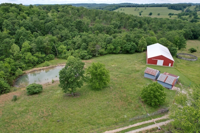 11513 Co Rd Unit 76-203, Ava, MO 65608 - aerial view of a forest and a large body of water