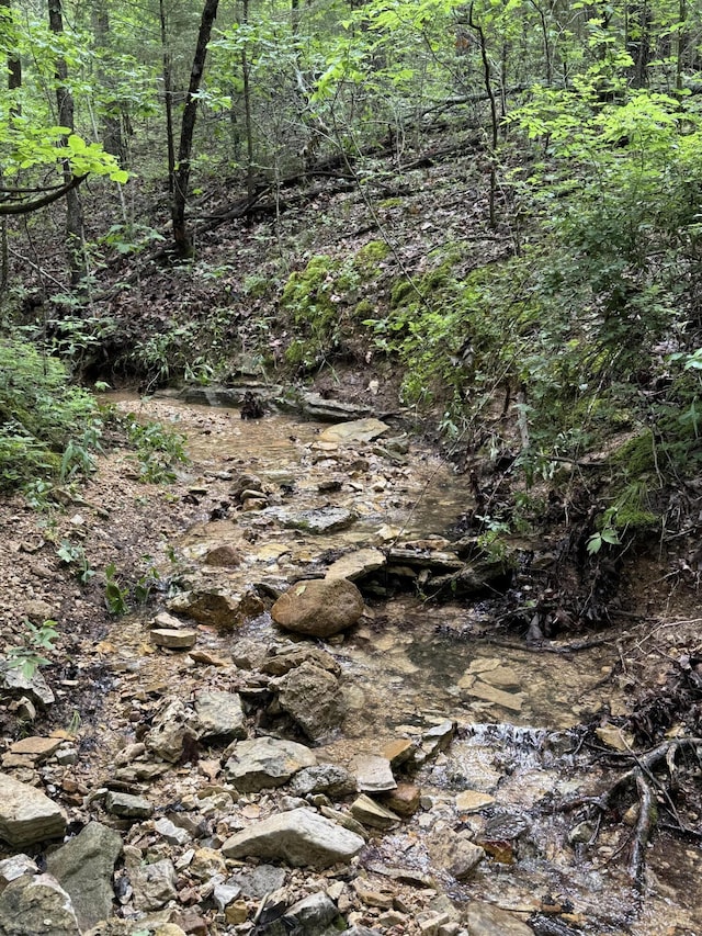 11513 Co Rd Unit 76-203, Ava, MO 65608 - view of local wilderness