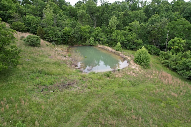 11513 Co Rd Unit 76-203, Ava, MO 65608 - water view featuring a heavily wooded area