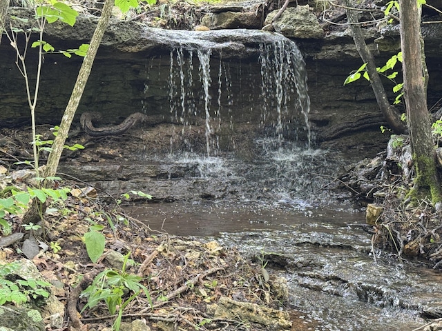 11513 Co Rd Unit 76-203, Ava, MO 65608 - view of local wilderness
