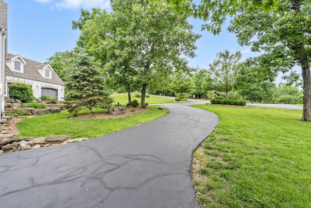 185 Appaloosa Trl, Saddlebrooke, MO 65630 - view of property's community featuring a lawn and a garage