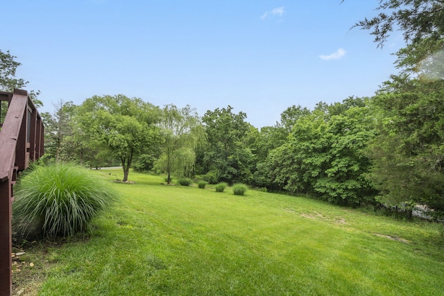 185 Appaloosa Trl, Saddlebrooke, MO 65630 - view of green lawn